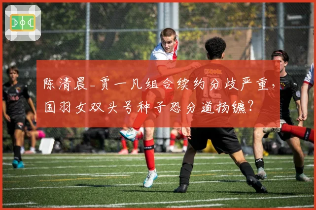 陈清晨_贾一凡组合续约分歧严重，国羽女双头号种子恐分道扬镳？